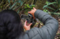 Suman cámaras para observar y monitorear la fauna presente en una reserva natural de la ciudad de Corrientes